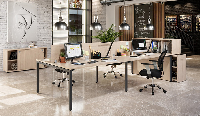 XTEN C 01